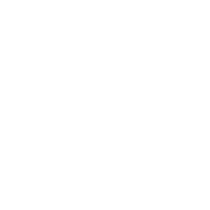 logoweißtransparent